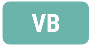 Visual Basic