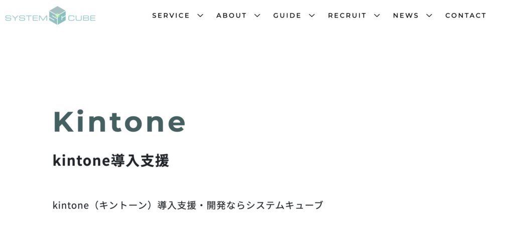 株式会社システムキューブ