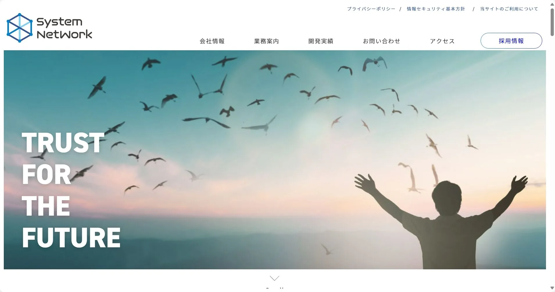 株式会社システムネットワーク公式サイト
